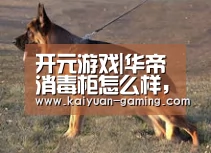 开元游戏|华帝消毒柜怎么样，价格一般是多