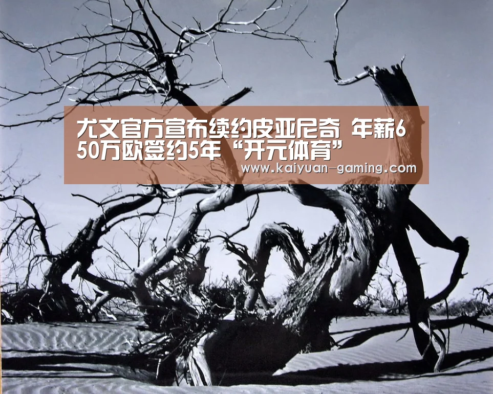 开元导航