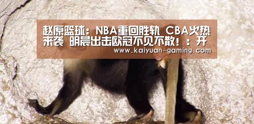赵原篮球:NBA重回胜轨 CBA火热来袭 明晨出击欧冠不见不散!:开元体育(图2) 开元导航