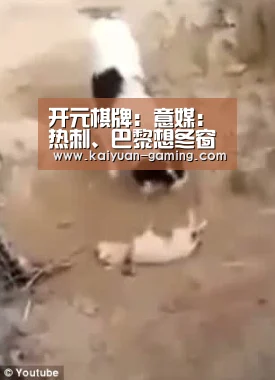 开元棋牌:意媒:热刺、巴黎想冬窗签迪巴拉,热刺想将埃里克森加入交易(图2) 开元体育