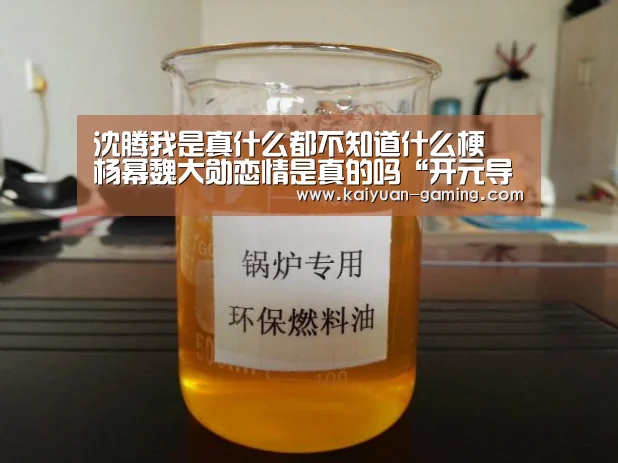 沈腾我是真什么都不知道什么梗 杨幂魏大勋恋情是真的吗“开元导航”(图1) 开元游戏