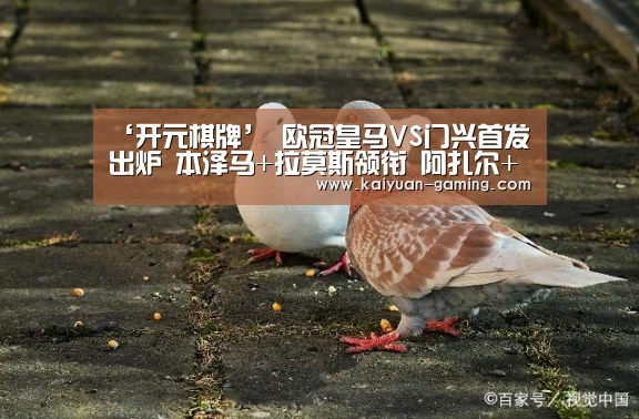 开元导航