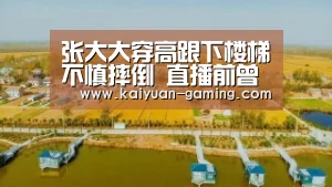 张大大穿高跟下楼梯不慎摔倒 直播前曾晒鞋求安全‘开元棋牌’(图1) 开元游戏