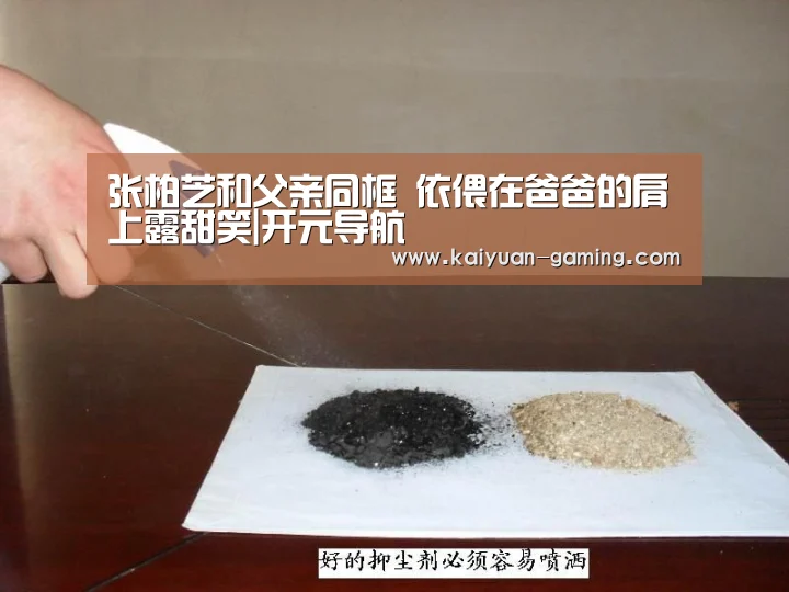 张柏芝和父亲同框 依偎在爸爸的肩上露甜笑|开元导航(图1) 开元棋牌