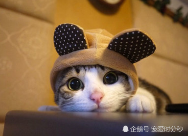 开元游戏